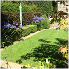 Orwell Garden