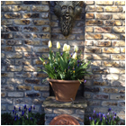 Orwell Garden