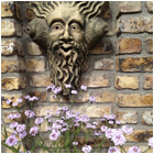 Orwell Garden