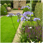 Orwell Garden